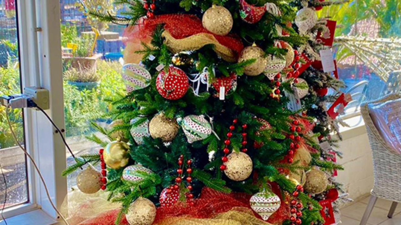 albero_ oro rosso