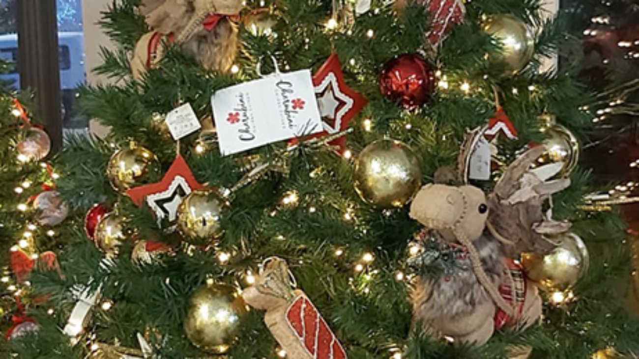 albero_alci