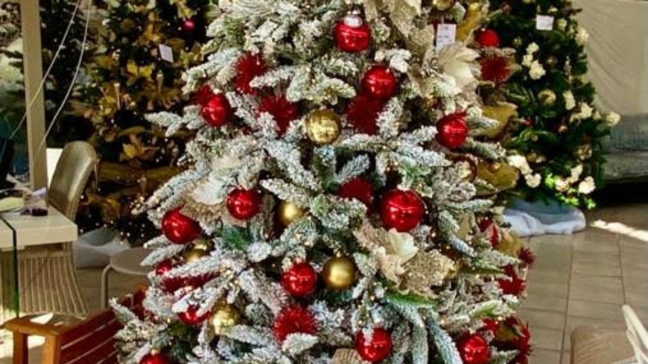 albero_punte bianche