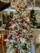 albero_punte bianche